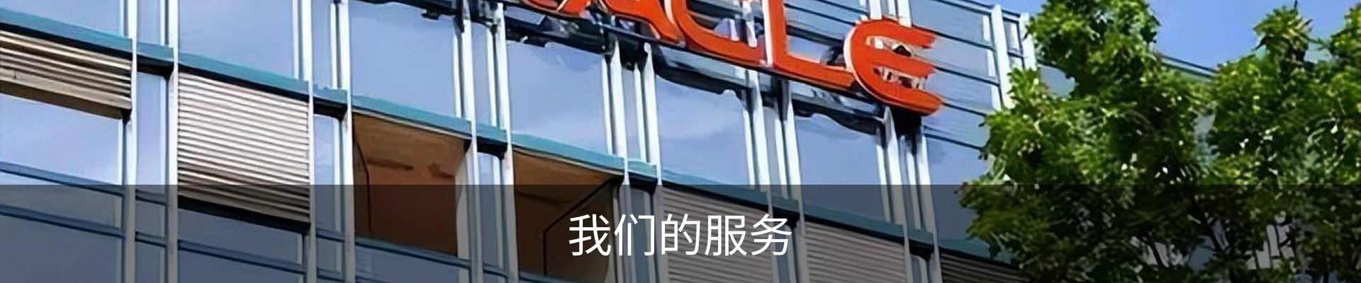 我们的服务